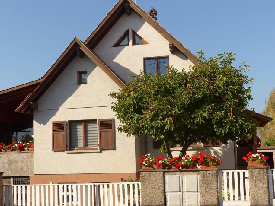 Gite Spacieux Au Coeur De L'Alsace 3*** Sélestat Extérieur photo