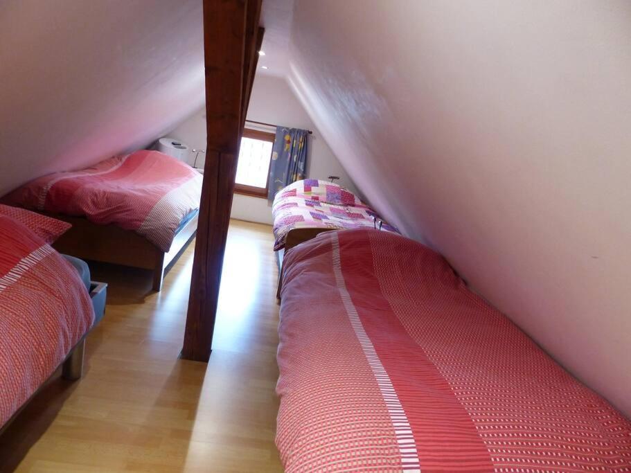 Gite Spacieux Au Coeur De L'Alsace 3*** Sélestat Extérieur photo