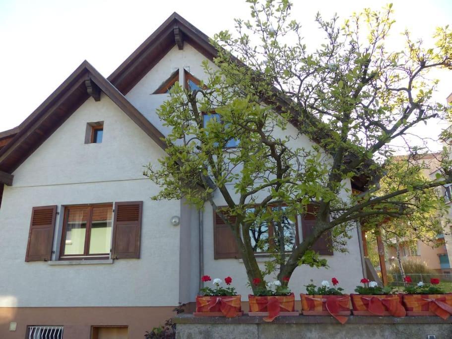 Gite Spacieux Au Coeur De L'Alsace 3*** Sélestat Extérieur photo