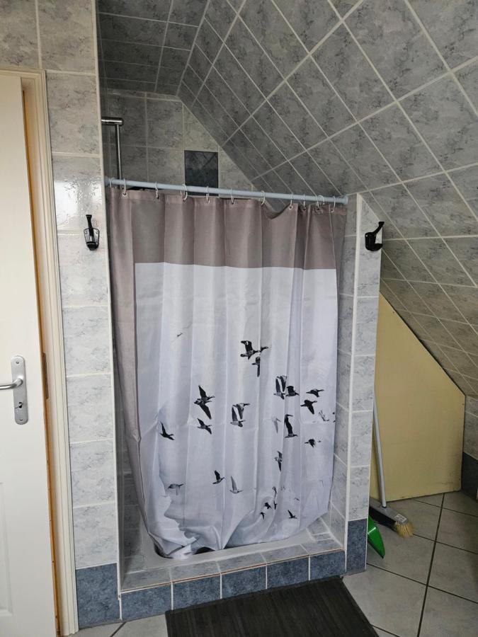 Gite Spacieux Au Coeur De L'Alsace 3*** Sélestat Extérieur photo