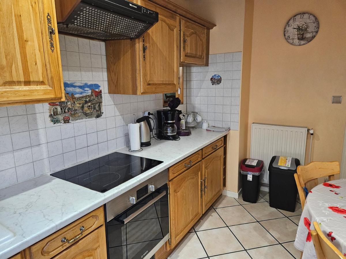 Gite Spacieux Au Coeur De L'Alsace 3*** Sélestat Extérieur photo