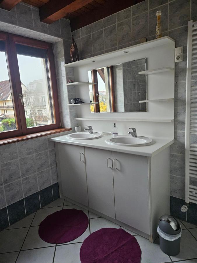 Gite Spacieux Au Coeur De L'Alsace 3*** Sélestat Extérieur photo