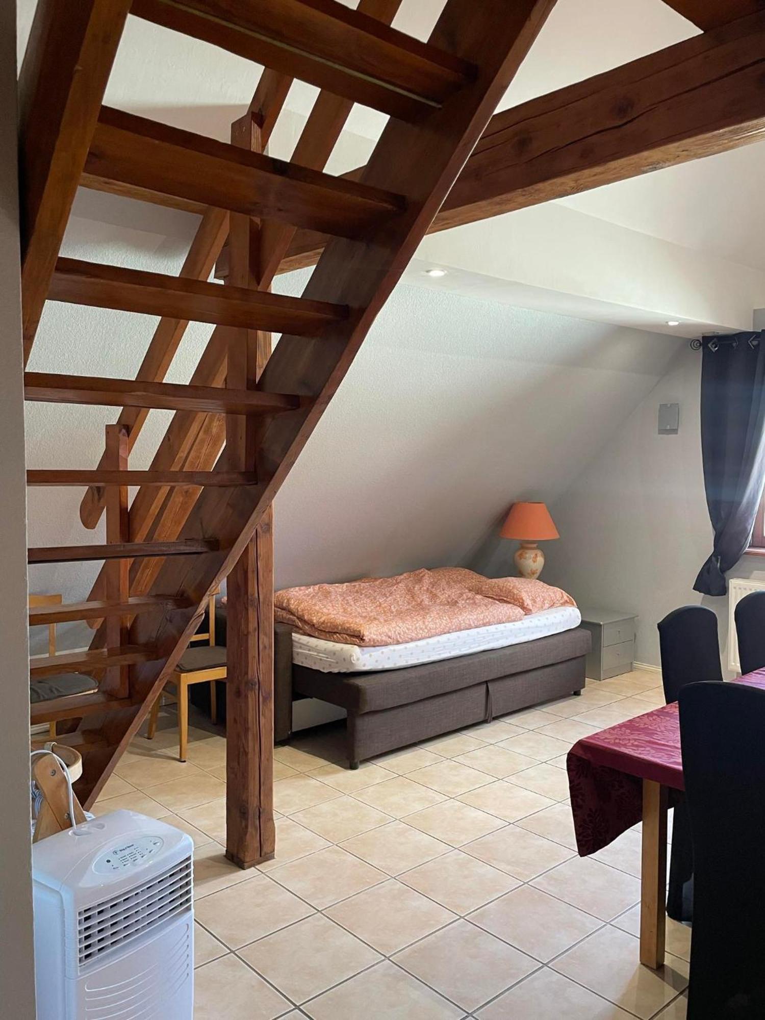 Gite Spacieux Au Coeur De L'Alsace 3*** Sélestat Extérieur photo
